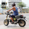 MSX125_GROM1 TANAX motoFizz MFK-234 - 迷你硬殼側箱