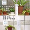 防御工事 銀離子除臭制菌噴霧-甜心蒼蘭 280ml