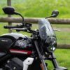 DART Classic S3 風鏡 - Triumph Trident 660