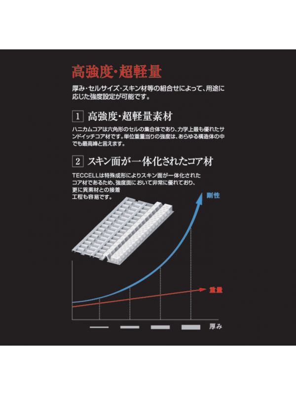 TAICHI TRV069 CROSSLAY 護胸 CE lv2