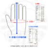 Flagship x Apollogic 半指手套 AG-S2502