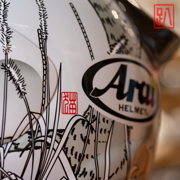 Arai Astro-GX Neko