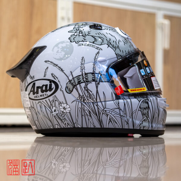 Arai Astro-GX Neko
