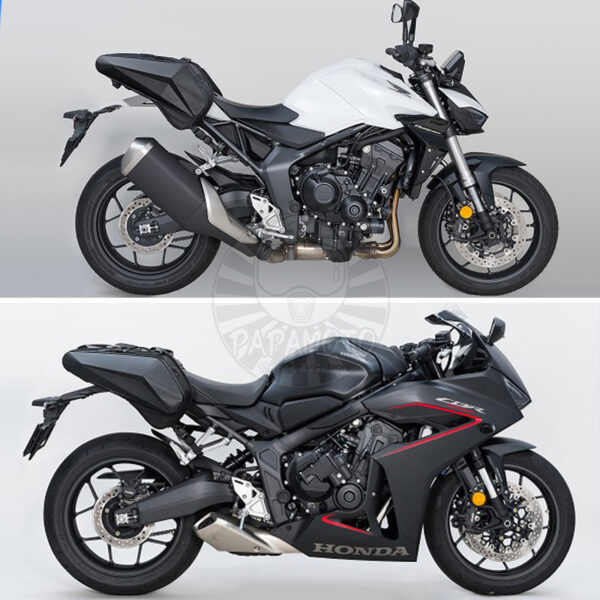 TANAX motoFizz MFK-313 CARVING 硬殼側箱 SS 2